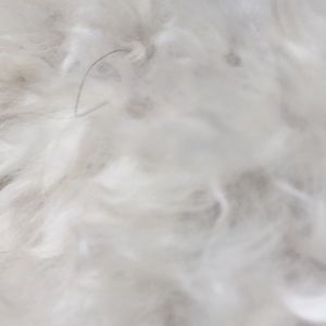 Meet your Posher, Maci